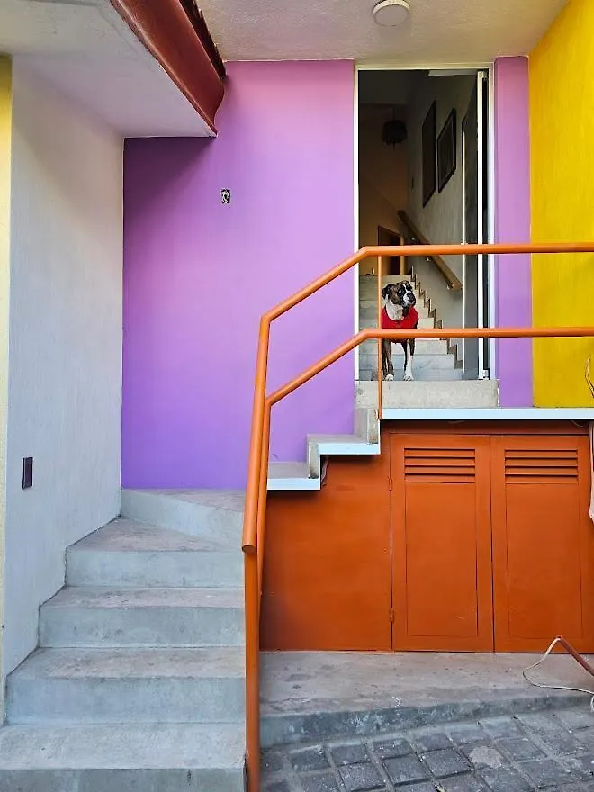 Habitacion #2 Talpa Casa Giltown 瓜达拉哈拉 墨西哥